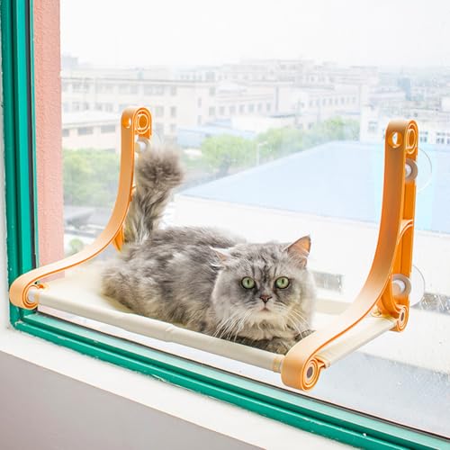 Hängematte Mit 4 Saugnäpfen, Fenster Hängematte Katzenhängematte, Strapazierfähige Katzenbett Für Große Katzen Und Kätzchen, Leicht Zu Reinigen Katzen Fensterliege Bis Zu 50Lbs,Orange von RUYICZB