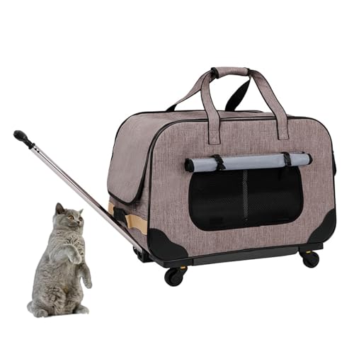 Haustier-Transportbox mit Rädern für Katzen, Katzen-/Hundetransportbox mit Teleskopgriff und atmungsaktivem Netzgewebe, perfekt für unterwegs,Grau von RUYICZB