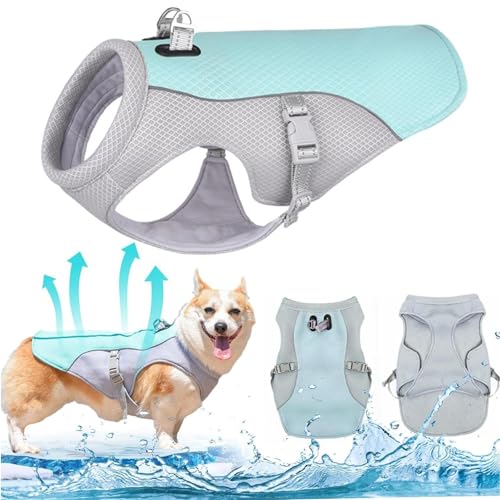 RUYICZB Hund Kühlweste Geschirr, Atmungsaktive Mesh Hund Cool Jacke Einstellbare Sommer Hund Mantel Reflektierende Sicherheit EIS Kleidung Für Große Mittlere Kleine Hunde Im Freien,S von RUYICZB