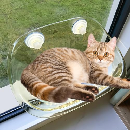 RUYICZB Katzen Fensterliege Katzenbett Fenster Hängematte Für Fenster Mit Stabil Saugnäpfe Katze Fensterbank Sitzstange Für Katze Sonniger Katzenhängematte Bis Zu 20Kg,Gelb von RUYICZB