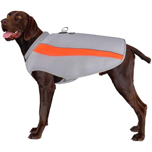 RUYICZB Kühlweste Hund Sommer Abkühlung Jacket Für Hunde, Verstellbar Atmungsaktiv Hundeweste Mit D-Ring Sonnenschutz Hund Warnweste Hundemantel Für Kleine Mittelgroße Große Hunde,Orange von RUYICZB