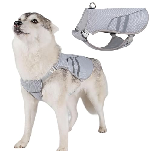 RUYICZB Kühlweste Hund Sommer Abkühlung Jacket Für Hunde, Verstellbar Atmungsaktiv Mesh Hundeweste Mit Geschirr D-Ring Warnweste Hundemantel Für Kleine Mittelgroße Große Hunde,L von RUYICZB