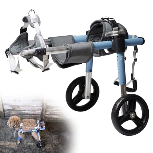 RUYICZB Einstellbare Hunde-Rollstuhl Für Die Hinterbeine, Pet Doggy Rollstühle Mit Behinderten Hinterbeinen Für Kleine/Mittlere Haustier, Hinterbeine Hund Wagen Mit Rädern,Standard,L von RUYICZB