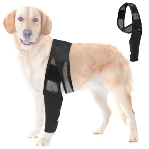 RUYICZB Ellenbogenschutz Für Hunde, Ellenbogenbandage Für Hunde, Ellenbogen- Und Schulterstütze Für Hunde, Kniebandage Für Hunde Bei Dysplasie, Arthritis, Dekubitus, Schulterluxation,S von RUYICZB