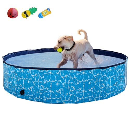 RUYICZB Faltbarer Pool Für Große, Kleine Hunde & Kinder, Haustier Hundepool Stabil & rutschfest Swimmingpool, Planschbecken Hund Kind, Schwimmbad 160X30cm Hundebadewanne von RUYICZB