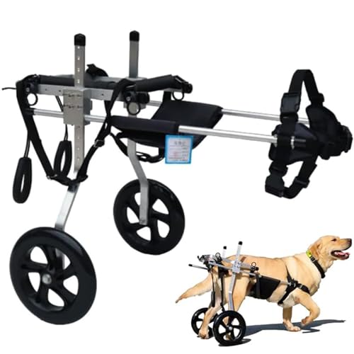 RUYICZB Hund Unterstützter Rollstuhl, Verstellbarer 2 Räder Hunderollstuhl, Große Verstellbarer Pet Dog Wheelchair Für Behinderte Hunde Hinterbeine Rehabilitation Von 15-60Kg,M von RUYICZB