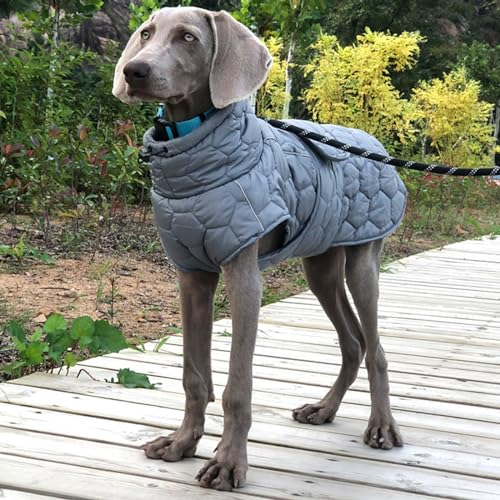 RUYICZB Hund Wintermantel Jacke Kleidung für mittlere große Hunde Weiche Winddichte Kälte Wetter Warme Hund Wintermantel mit Fleece gefüttert Paded Reflektierende & Einstellbare Bequem,Grau,L von RUYICZB