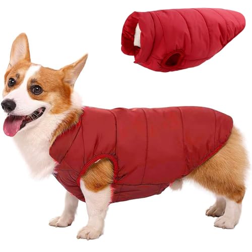 RUYICZB Hund Wintermantel Warme Jacke Hundebekleidung Hund Wasserdicht Hundejacke Mit Fleece Gefütterte Hund Katze Kleidung Welpen Winterweste Für Kleine Mittel Grosse Hunde,Rot,L von RUYICZB