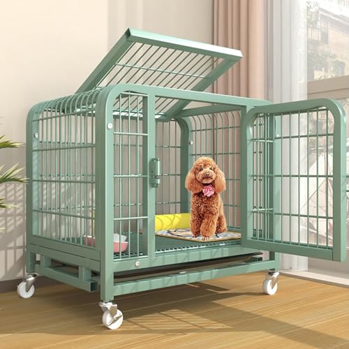 RUYICZB Hundebox Hundekäfig Metall-Hundekäfig Hundetransportbox Für Kleine Hunde Mit 2 Türen Bodenschale Für Zuhause Hundetransportkäfig Hundegitterbox Rollen,24.8" Lx18.9 Wx26.4 H von RUYICZB