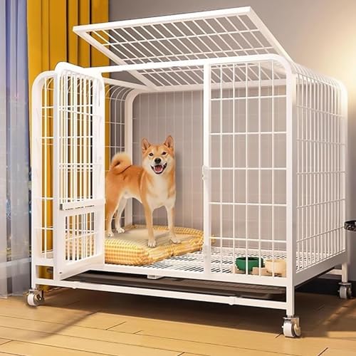 RUYICZB Hundekäfig Für Zuhause Große Mittelgrosse Hunde Transportbox Metall Transportkäfig Dog Crate Mit Rädern 2 Abschließbare Türen Und Abnehmbares Tablett,Weiß,30.7" Lx19.7 Wx27.5 H von RUYICZB