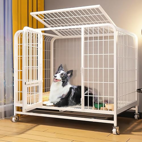 RUYICZB Hundekäfig Für Zuhause Große Mittelgrosse Hunde Transportbox Metall Transportkäfig Dog Crate Mit Rädern 2 Abschließbare Türen Und Abnehmbares Tablett,Weiß,36.6" Lx24.4 Wx32.3 H von RUYICZB