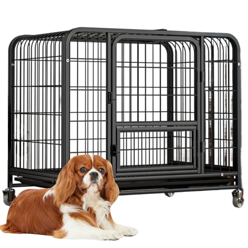 RUYICZB Hundekäfig Hundebox Hundegitterbox Mit 2 Türen Und Abnehmbarer Bodenschale Hundetransportbox Transportkäfig Outdoor Indoor Für Große Mittelgrosse Kleine Hunde,24" Lx17 Wx21.6 H von RUYICZB