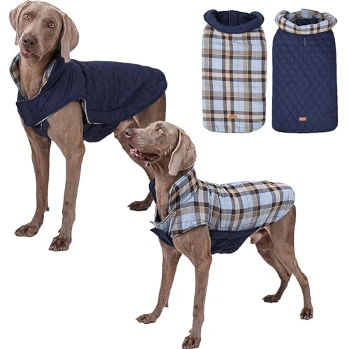 RUYICZB Hundemantel Winter, Hundejacke Für Kleine Mittlere Große Hunde, Hundemantel Wasserdicht Und Warm, Outdoor Hundemantel Mit Geschirr Loch Karierte Wendejacke,Blau,L von RUYICZB