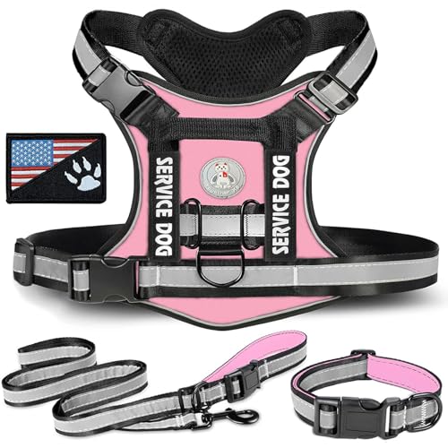 RUYICZB No-Pull Hundegeschirr, Einstellbar Sicherheitsgeschirr Taktisches Geschirr Mit Griffe D-Ringen Und Reflexstreifen Molle-Weste Hund Tactical Weste Für Große/Mittlere Hunde,Rosa,X Small von RUYICZB