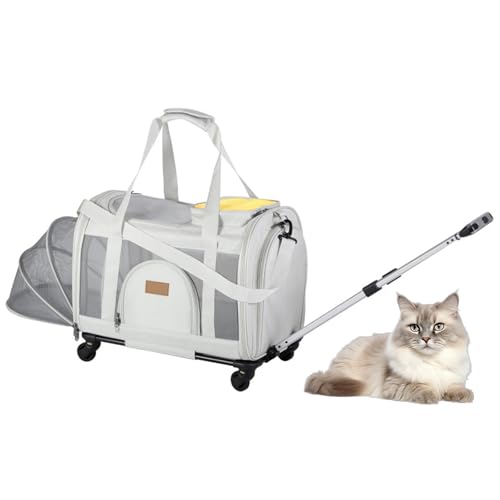 RUYICZB Transportbox für Haustiere mit Rädern, Rollbare Transportbox für Katzen und kleine Hunde, Erweiterbare Premium-Katzentransportbox mit Rädern,White a von RUYICZB