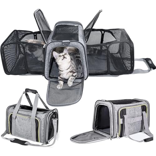 RUYICZB Transporttasche Für Katzen Und Hunde, Erweiterbare Transportbox Katze,Hund Faltbare Katzentransportbox Mit Atmungsaktiven Netzfenster Für Kleinen Hund Welpen Katze von RUYICZB