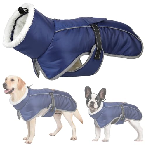 RUYICZB Wasserdichter Hundemantel, Winter Warme Hundejacke Hundebekleidung Für Kleine Mittel Große Hunde Hundepullover Mit Sicheren Reflexstreifen Für Labrador Chihuahua,Blau,M von RUYICZB