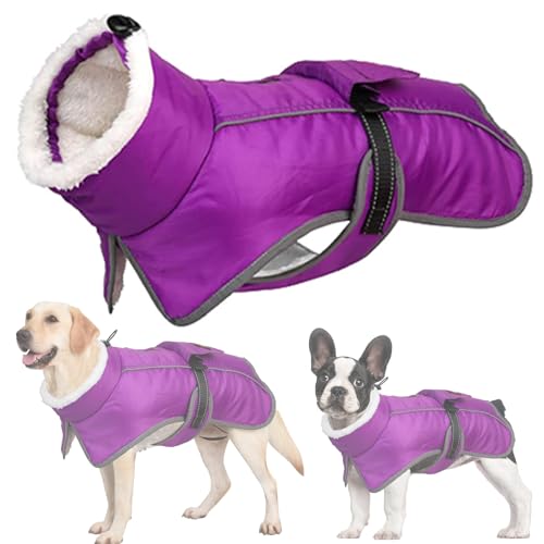 RUYICZB Wasserdichter Hundemantel, Winter Warme Hundejacke Hundebekleidung Für Kleine Mittel Große Hunde Hundepullover Mit Sicheren Reflexstreifen Für Labrador Chihuahua,Lila,M von RUYICZB