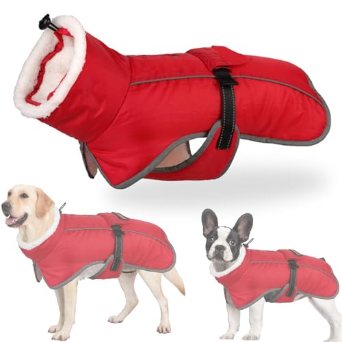 RUYICZB Wasserdichter Hundemantel, Winter Warme Hundejacke Hundebekleidung Für Kleine Mittel Große Hunde Hundepullover Mit Sicheren Reflexstreifen Für Labrador Chihuahua,Rot,M von RUYICZB