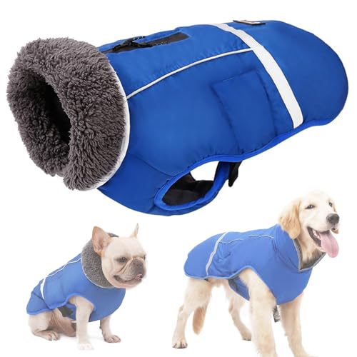 RUYICZB Wasserdichter Winddichter Hundemantel Für Kaltes Wetter, Warme Hundekleidung Hunde Winterweste Jacken Mit Fleece Gefütterte Reflektierend Für Kleine Mittlere Große Hunde,Blau,M von RUYICZB