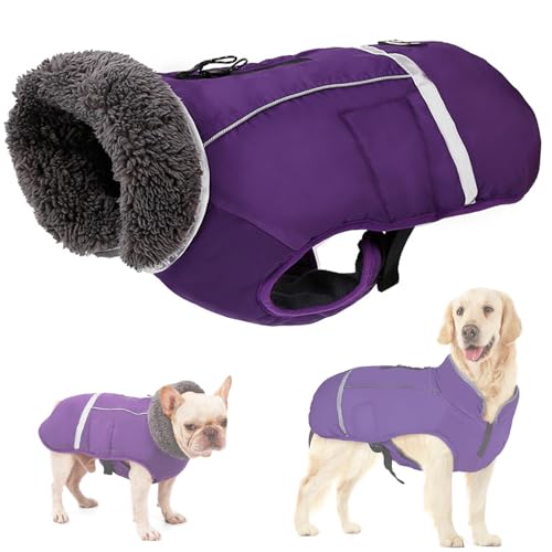 RUYICZB Wasserdichter Winddichter Hundemantel Für Kaltes Wetter, Warme Hundekleidung Hunde Winterweste Jacken Mit Fleece Gefütterte Reflektierend Für Kleine Mittlere Große Hunde,Lila,M von RUYICZB