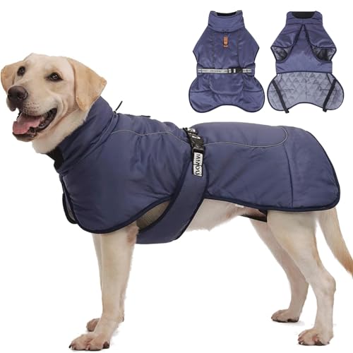 RUYICZB Winter Hundejacke Warmer Hundemantel Verstellbare Hunde Bekleidung Winddichter Reflektierende Hundeweste Mit D-Ring Wintermantel Outfit Für Mittlere Große Hunde Draussen,Blau,XL von RUYICZB