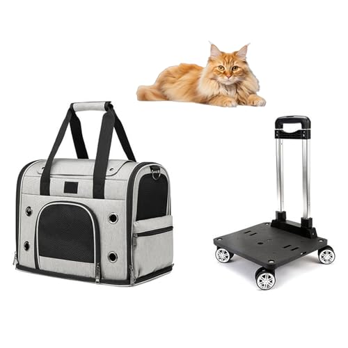 Transportbox für Haustiere mit Rädern für kleine Katzen und Hunde, rollende Transportbox für Katzen und Hunde mit abnehmbarem Boden und Aufbewahrungstasche,Grau von RUYICZB