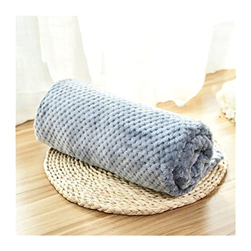 RVIFY Haustierbett Katzenschlafmatten Welpenüberwurf Warme Dünne Betten Kissen Weiche Bezüge Haustierdecken Für Hunde Katzen Matratzen Hundebett(Blue,S 60x40cm) von RVIFY