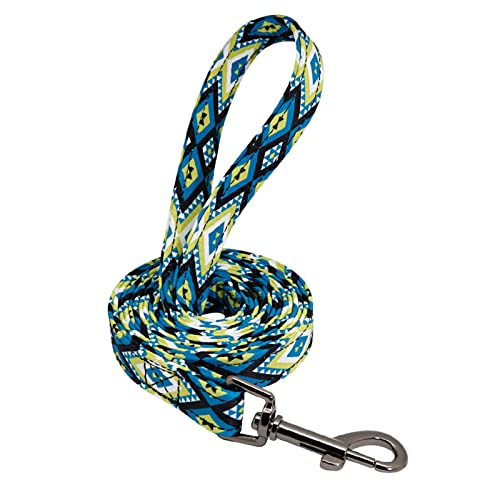 Schleppleine für Hunde Hundehalsband Nylon Pet Dog ID Tag Halsbänder Gravierte Bedruckte Welpenhalsbandleine Hundeleine zum Trainieren(Blue Leash,L) von RVIFY