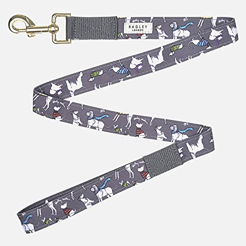 Radley London Thunder Canine Hundeleine, Netzgewebe auf einem Abenteuer von Radley