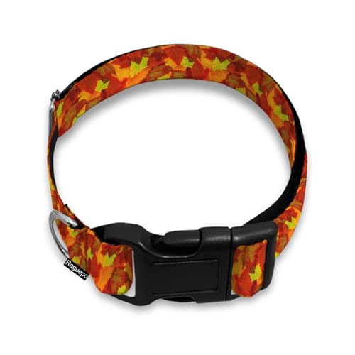 Halsband für Katzen, Hunde, mit Schnellverschluss-Schnalle, verstellbar, für weibliche und männliche Welpen, Rot / Orange von Raguepo