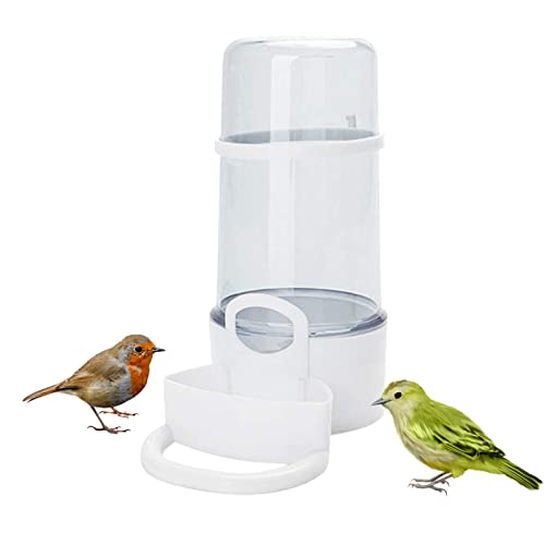 Rainao Wasserspender Für Vögel, Huhn Wasser Feeder, Kunststoff-Wassertränke, Vogelzubehör, Trinkflaschen Für Vögel, Behälter Für Vogelfutter, Automatische Vogeltränken Für Käfige, Für Wellensittich von Rainao