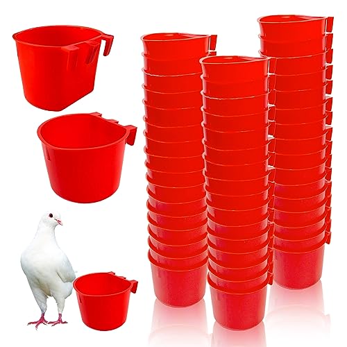 Rainmae Futterspender für Vögel, zum Aufhängen, für Hühner, Wasserbecher, Vogelfutterschale, 237 ml, Kunststoff, Vogelwasserspender für kleine Ställe, Papageien, Sittiche, Haustiere, Geflügel, Tauben, von Rainmae