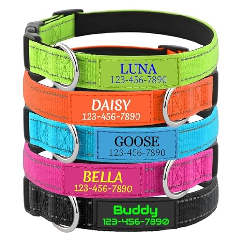Personalisierte Hundehalsband mit Namen, Silikon ID Hundemarke, Verstellbarer Reflektierend Weich Gepolstertes Komforthalsband aus Nylon, für Kleine, Mittel, Große Hunde Personalisierte Hundehalsband mit Namen, Silikon ID Hundemarke, Verstellbarer Reflektierend Weich Gepolstertes Komforthalsband aus Nylon, für Kleine, Mittel, Große Hunde von Rainsar