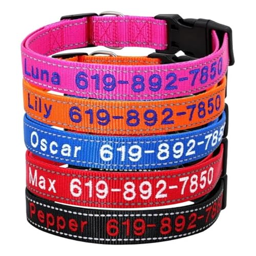 Personalisiertes Hundehalsband mit Namensstickerei & Reflektion | Schnellverschluss | Nylon, XS-XL für Welpen, Kleine, Mittlere und Große Hunde Personalisiertes Hundehalsband mit Namensstickerei & Reflektion | Schnellverschluss | Nylon, XS-XL für Welpen, Kleine, Mittlere und Große Hunde von Rainsar