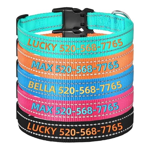 Personalisiertes Hundehalsband mit Namensstickerei & Reflektion | Schnellverschluss | Nylon, XS-XL für Welpen, Kleine, Mittlere und Große Hunde Personalisiertes Hundehalsband mit Namensstickerei & Reflektion | Schnellverschluss | Nylon, XS-XL für Welpen, Kleine, Mittlere und Große Hunde von Rainsar