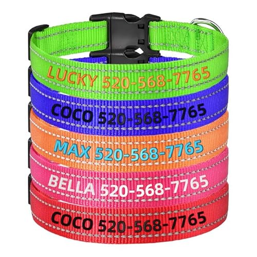 Personalisiertes Hundehalsband mit Namensstickerei & Reflektion | Schnellverschluss | Nylon, XS-XL für Welpen, Kleine, Mittlere und Große Hunde Personalisiertes Hundehalsband mit Namensstickerei & Reflektion | Schnellverschluss | Nylon, XS-XL für Welpen, Kleine, Mittlere und Große Hunde von Rainsar