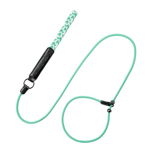 Raipult Retrieverleine, 1,8 m, langlebige Retrieverleine mit Metallstopper, starkes geflochtenes Nylon-Seil, Hundeleine mit bequemem Ledergriff, Trainingsleine für alle Rassen, Mintgrün von Raipult