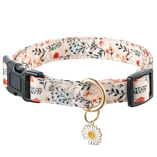 Raisingwell Hundehalsband (Beige P, L) von Raisingwell