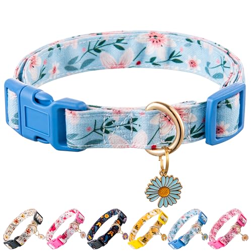 Raisingwell Hundehalsband (Blau, L) von Raisingwell