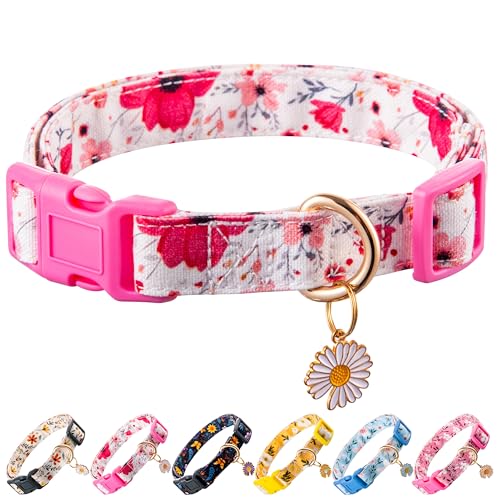 Raisingwell Hundehalsband aus Baumwolle, mit Blumenmuster, für Jungen und Mädchen, niedliches Hundehalsband, Sommergeschenk, verstellbar, für kleine bis mittelgroße Rassen, Größe S von Raisingwell