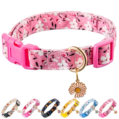 Raisingwell Hundehalsband (Rosa, Größe M) von Raisingwell