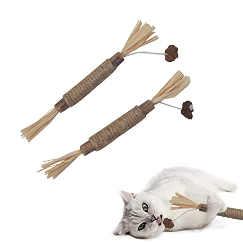 Rakiuty Kausticks Interaktives Katzenspielzeug,Kausticks für Katzen,Katzen Zahnpflege Spielzeug,Zum Schleifen von Zähnen,Für ​Katze Zu Spielen, Beißen, Kauen (2 Stück) von Rakiuty