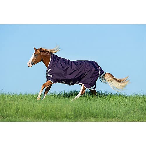 Rambo Wug Turnout Lite 0g 84 Navy/Hunter von Rambo