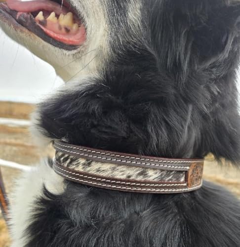 Hair On Hundehalsband aus Rindsleder, Western-Hundehalsband, gepolstert, Größe L von Ranch Hand Store