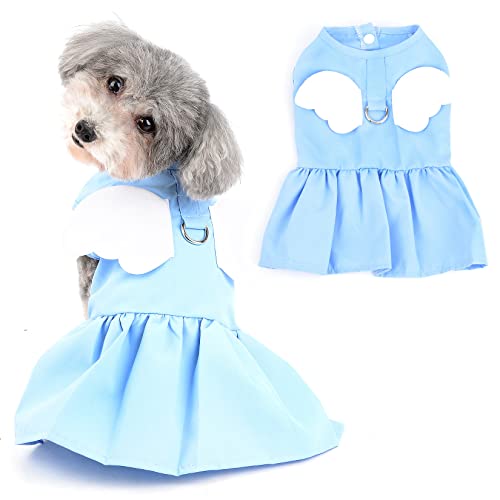 Ranphy Angel Wings Welpen Kleider für kleine Hunde Mädchen Haustier Kleidung mit D-Ring Hundebekleidung Bequemes Sommer Shirt Rock Chihuahua Yorkie Katzen Outfits,Blau,S von Ranphy