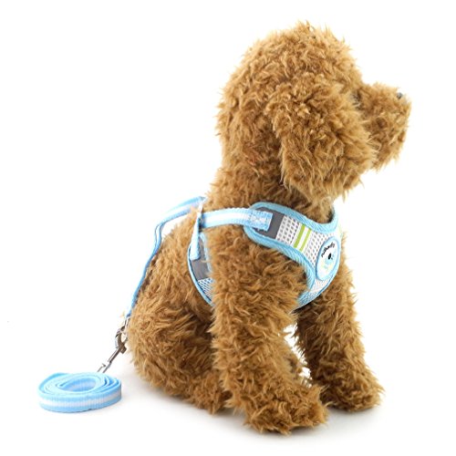 Ranphy Atmungsaktives Mesh Hundegeschirr No Pull Pet Vest Step-In Geschirr mit Leine Set Verstellbar für Walking Training Laufen Wandern Blau Größe S von Ranphy