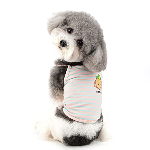 Ranphy Gestreiftes kleines Hundehemd für Jungen und Mädchen, Haustier-Kleidung, Sommer-Welpen, Tank-Top, atmungsaktiv, ärmellos, T-Shirt für Doggie, weiche Pullover, Kleidung, Katzensweatshirt von Ranphy