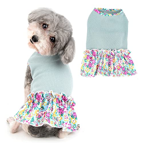 Ranphy Gestrickte Haustierkleider Mädchen kleine Hunde Kleidung Welpen Blumenrock Ärmelloses Hemd mit Rüschen Katze Sommerkleid Yorkie Chihuahua Frühling Sommer Outfits,Grün,M von Ranphy