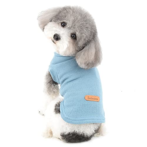 Ranphy Haustierkleidung für kleines Hundehemd Hündchen Katze Ärmellose Weste Weiches Netz Atmungsaktives Trägershirt Sommerkleidung Chihuahua Yorkshire Terrier Pullover Kleidung Blau XXL von Ranphy